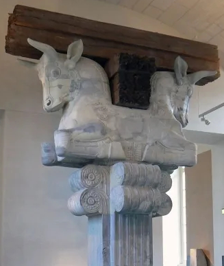 Bull capital Bull capital