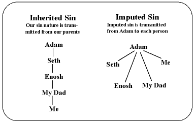 Imputed / hereditary sin