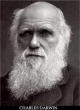 Charles Darwin: morality evolved! Natural selection of groups and consequences determine morality.
